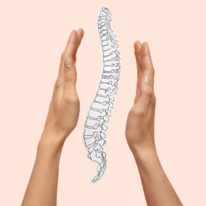healthy back 2